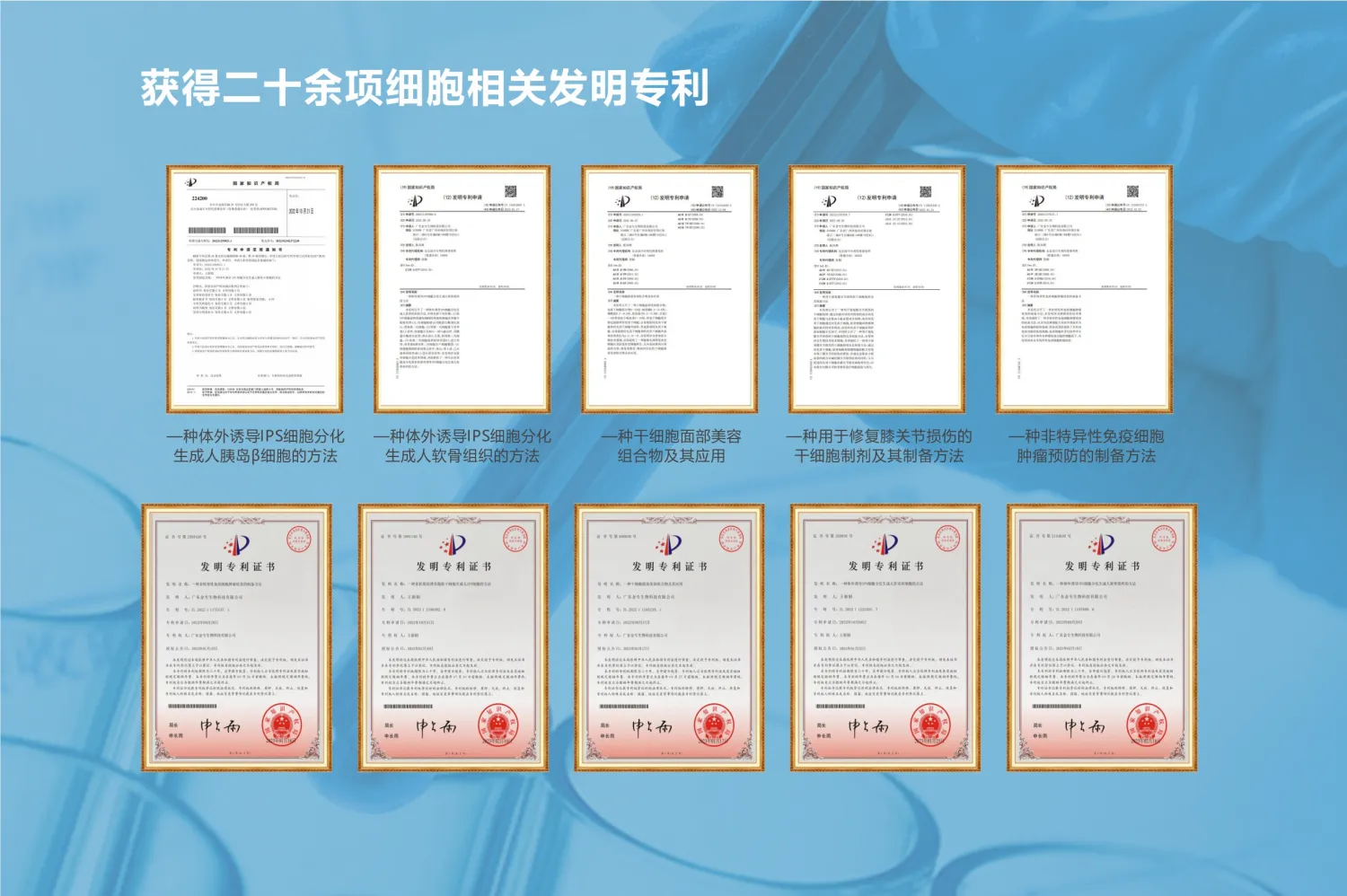 归档中的专利证书拼图,图片标题为获得二十余项细胞相关发明专利