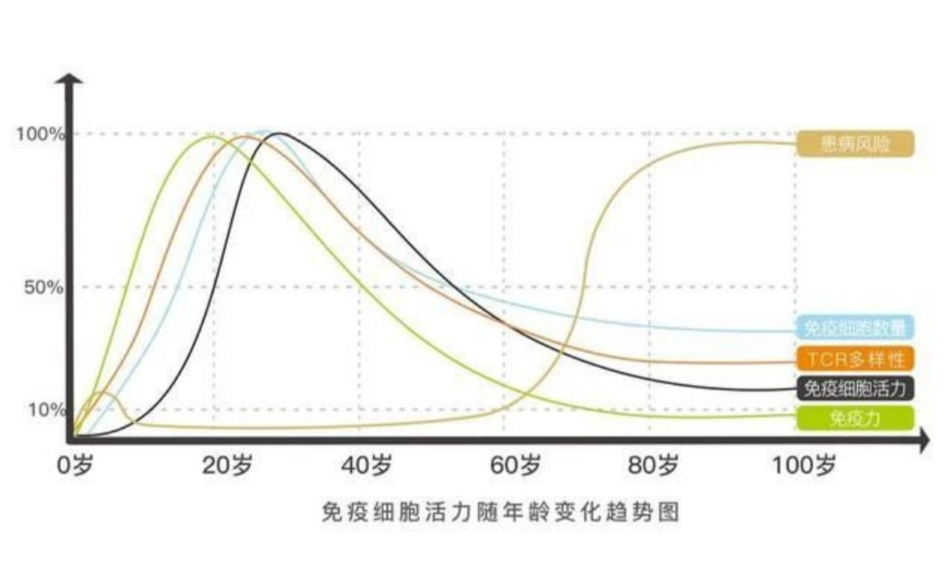 为什么有人45岁后突然“垮掉”?根源在大脑和免疫系统的断崖式衰老