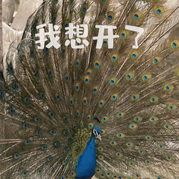 心脏最怕瞎吃乱补!最新权威指南:别再乱吃乱补,这样吃血管才真年轻配图